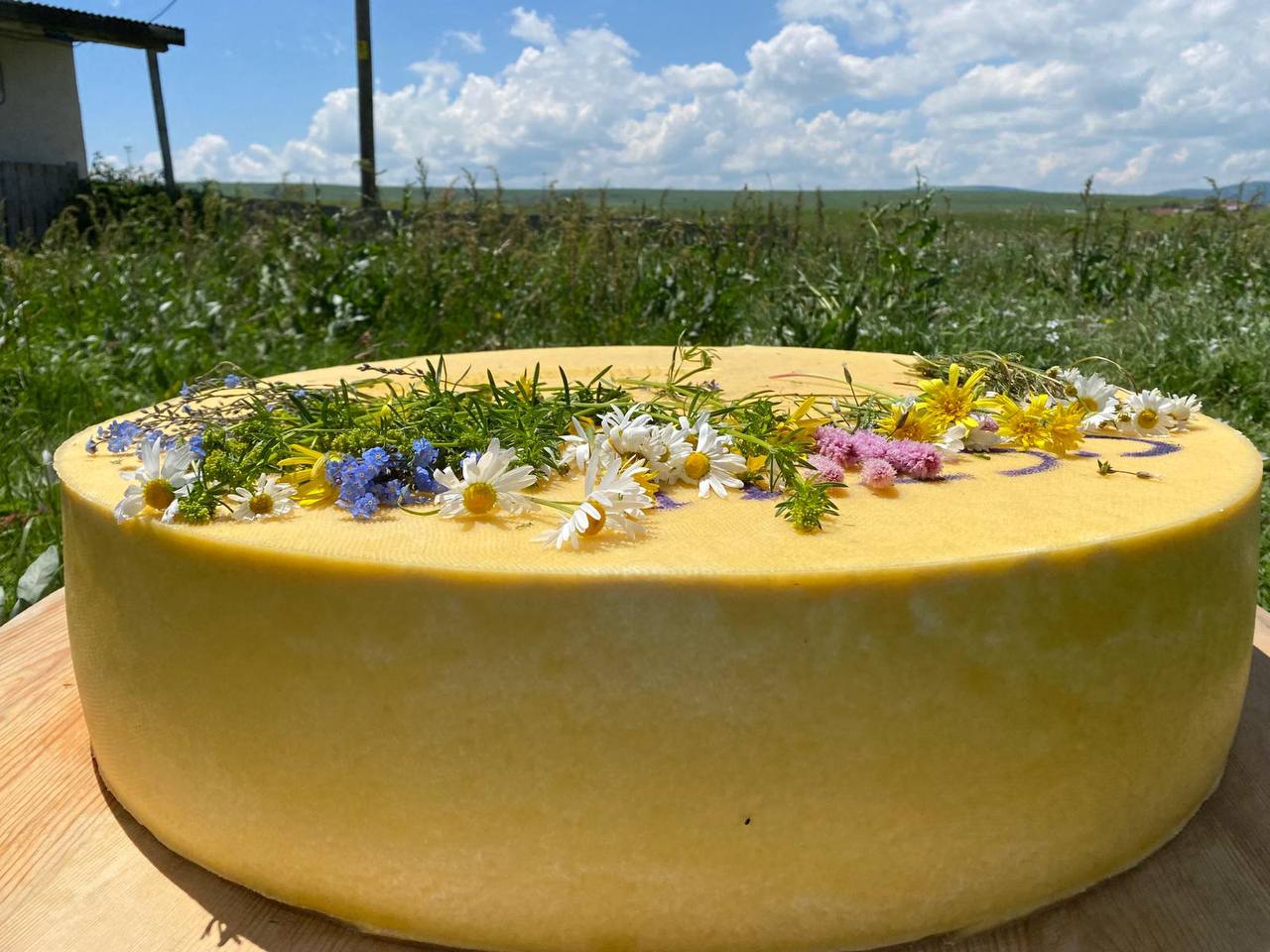 Eski Kaşar (500 gr)