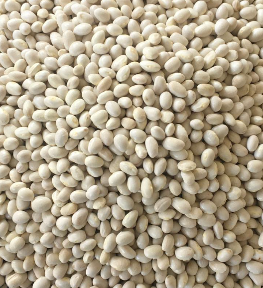 Haricots secs (Haricots secs fermiers - 500g)