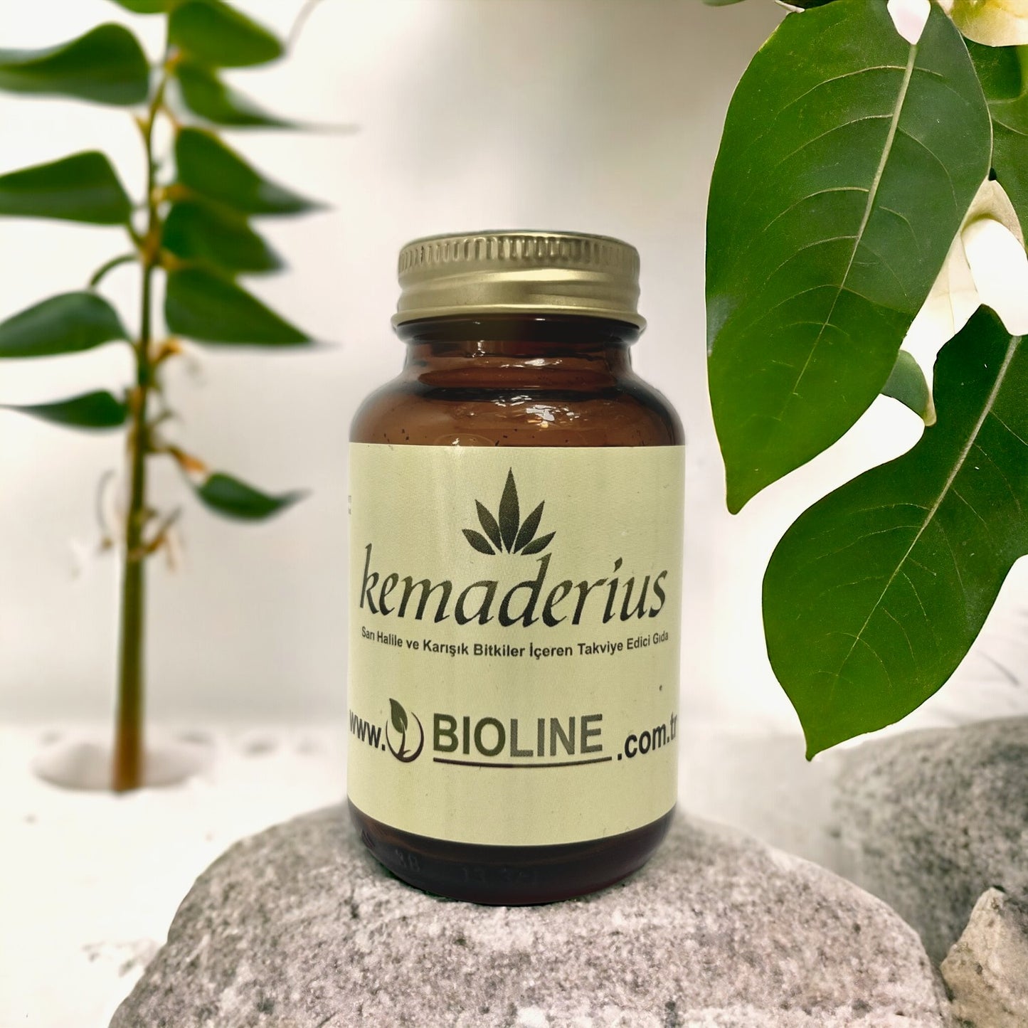 Kemaderius Bitkisel Takviye Gıda