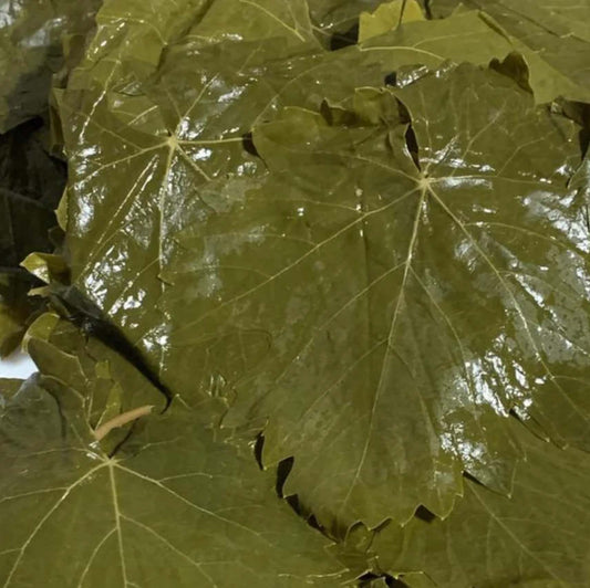 Salamura Yaprak – Tokat Böglesi - 3230 gr