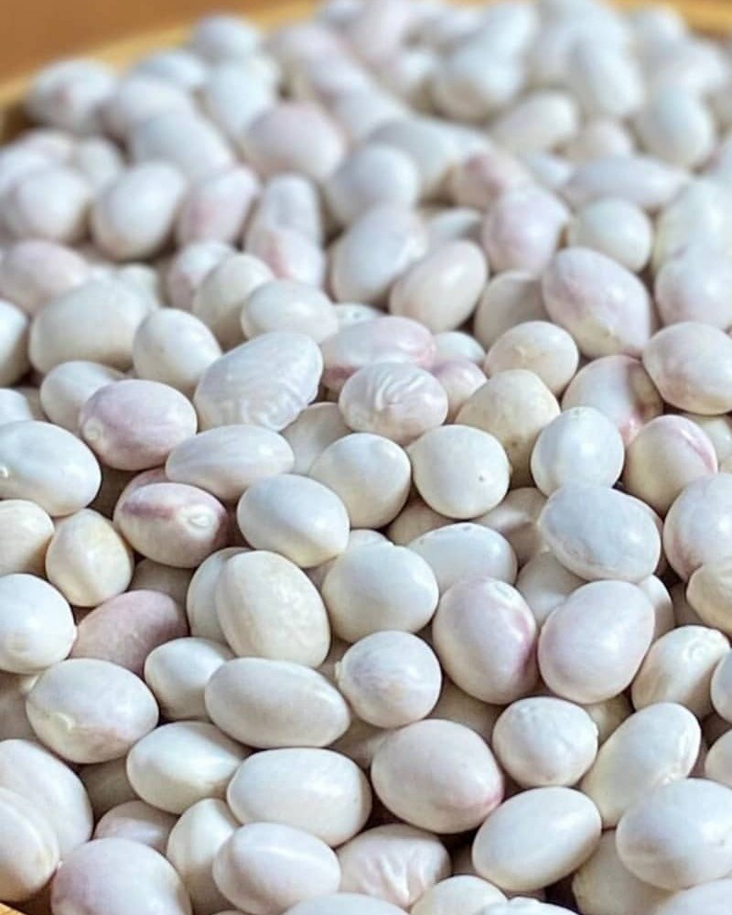 İspir Fasulyesi - 500 gr