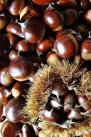 Yayla Kestanesi -500 gr-